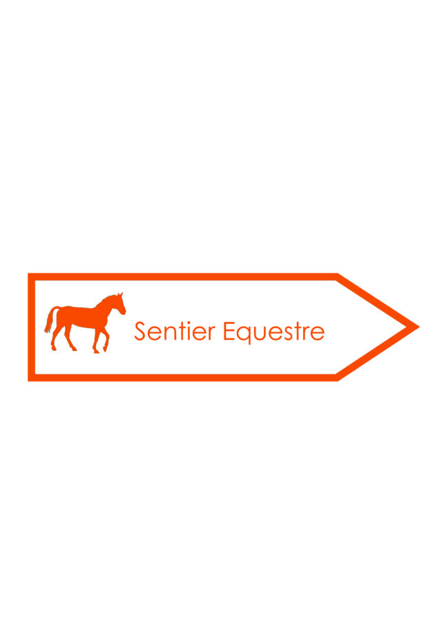 cheval orange ral 2008