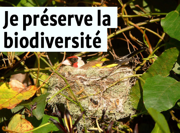 Je préserve la biodiversité